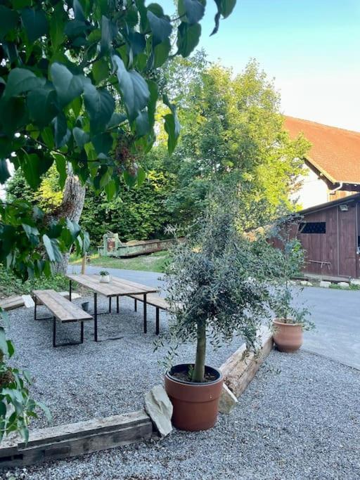 Zauberhafte Ferienscheune Im Hofgut Alte Oelmuehle Engen Zewnętrze zdjęcie