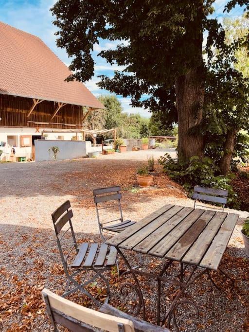 Zauberhafte Ferienscheune Im Hofgut Alte Oelmuehle Engen Zewnętrze zdjęcie